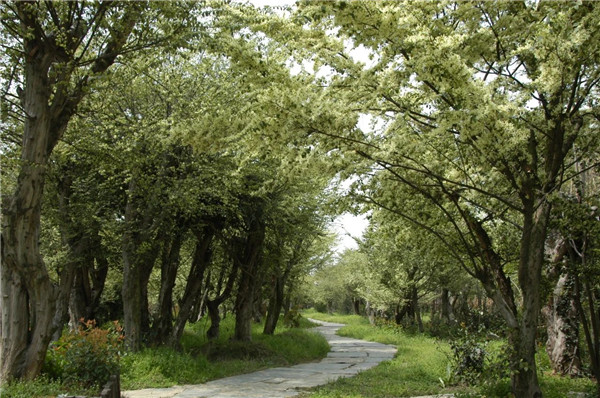 我市一企業連續23年獲評農業產業化國家重點龍頭企業 將投資14億元打造綠色循環現代化農業產業園